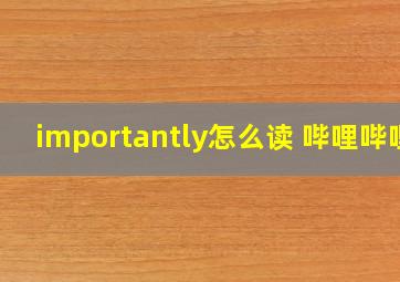 importantly怎么读 哔哩哔哩